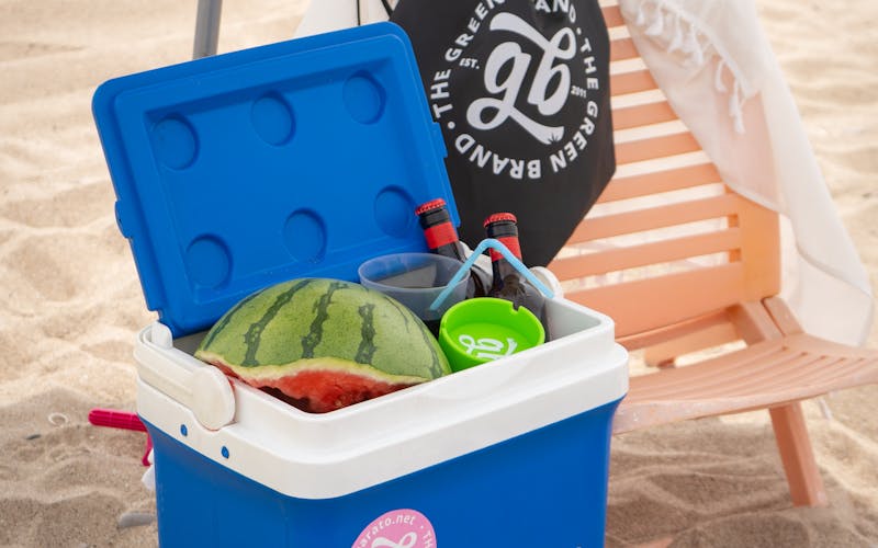 pexels-photo-30801659