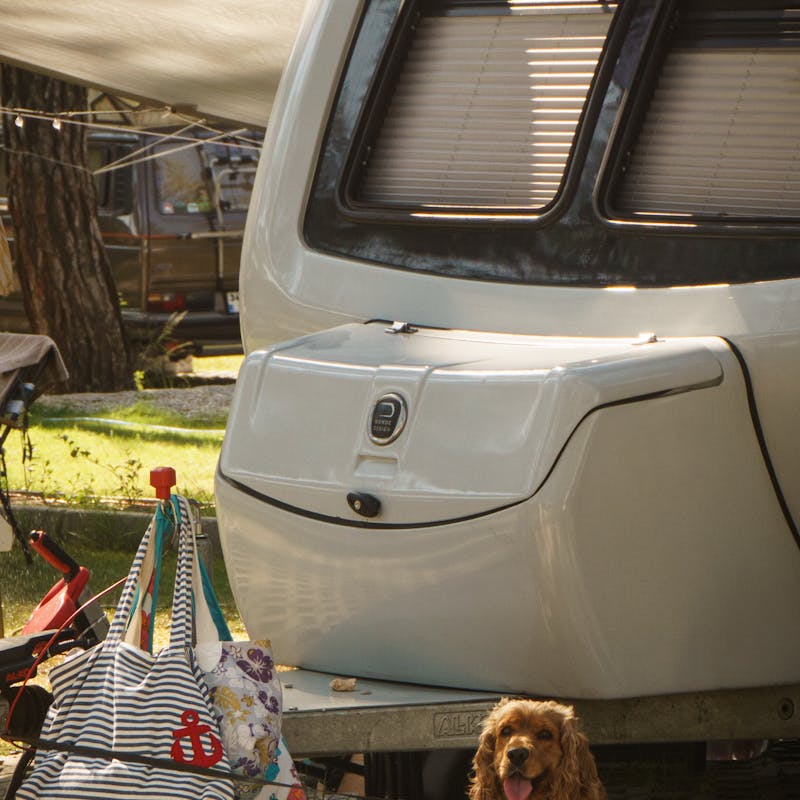 pexels-photo-32424205